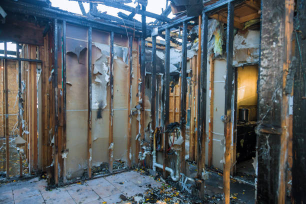 Professional Smoke Damage Removal technician working in Monterey, CA